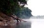 Amazonas06 - 316